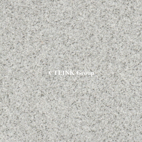 Sàn nâng kỹ thuật khuôn thép lõi xi măng mặt phủ HPL chống tĩnh điện Anti Static